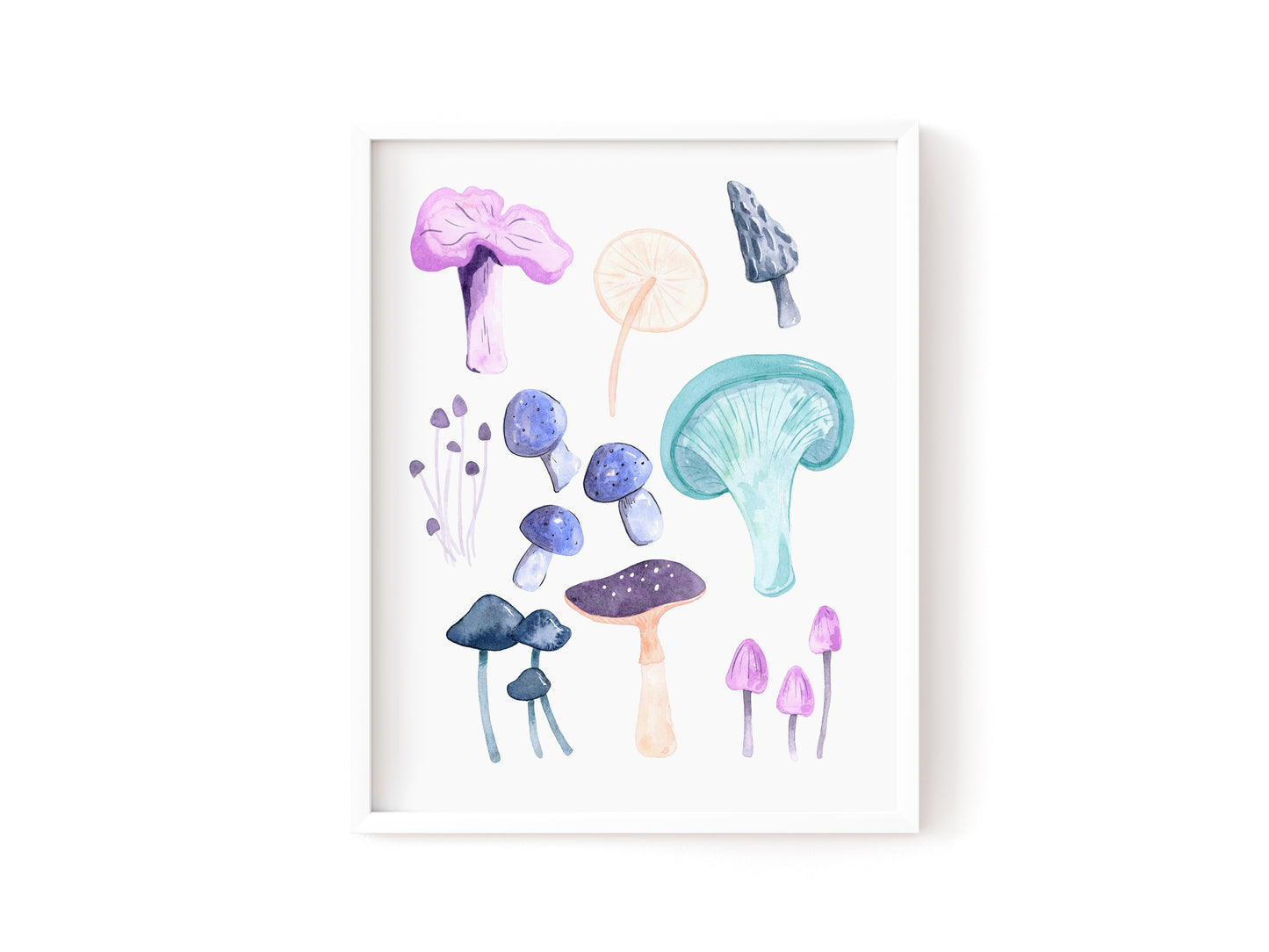 Mushroom Study