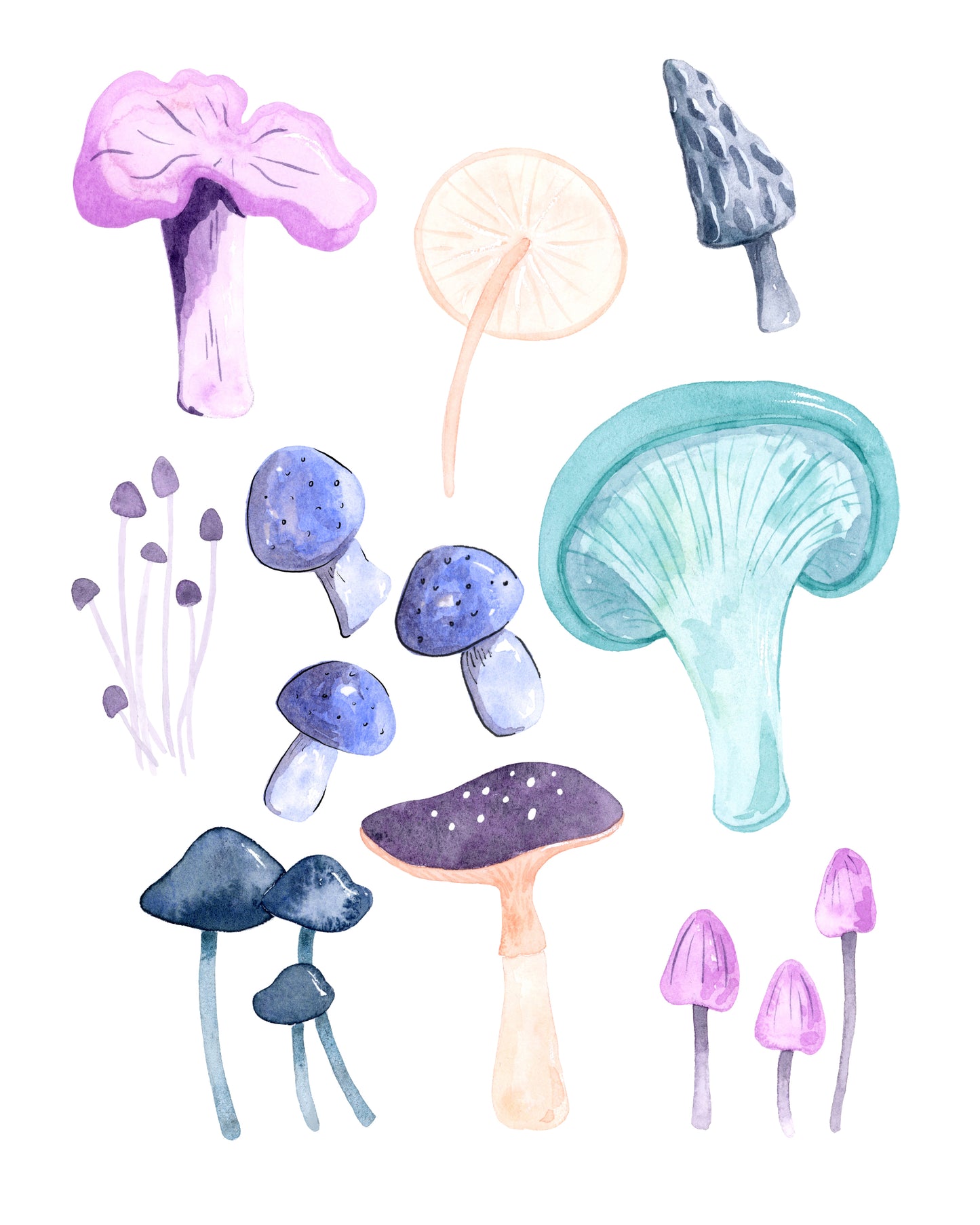 Mushroom Study